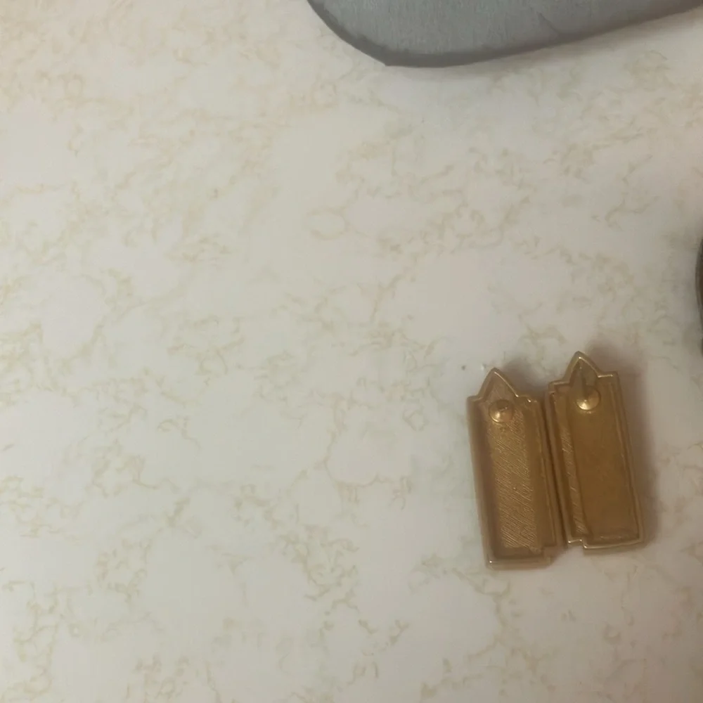 Gold and Black pierced Earrings